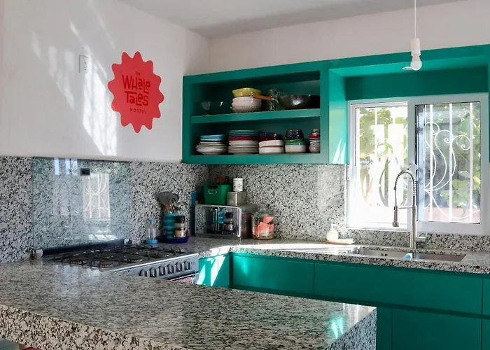 Whale Tales Hostel San Jose del Cabo