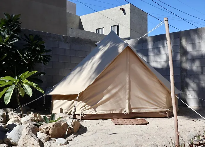 Whale Tales Hostel San Jose del Cabo