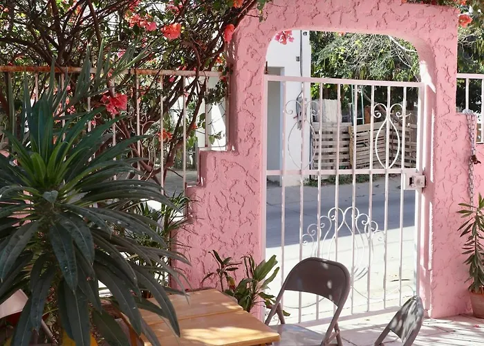 Whale Tales Hostel San Jose del Cabo